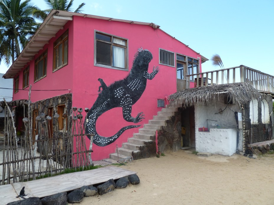 The Caleta Iguana Hotel