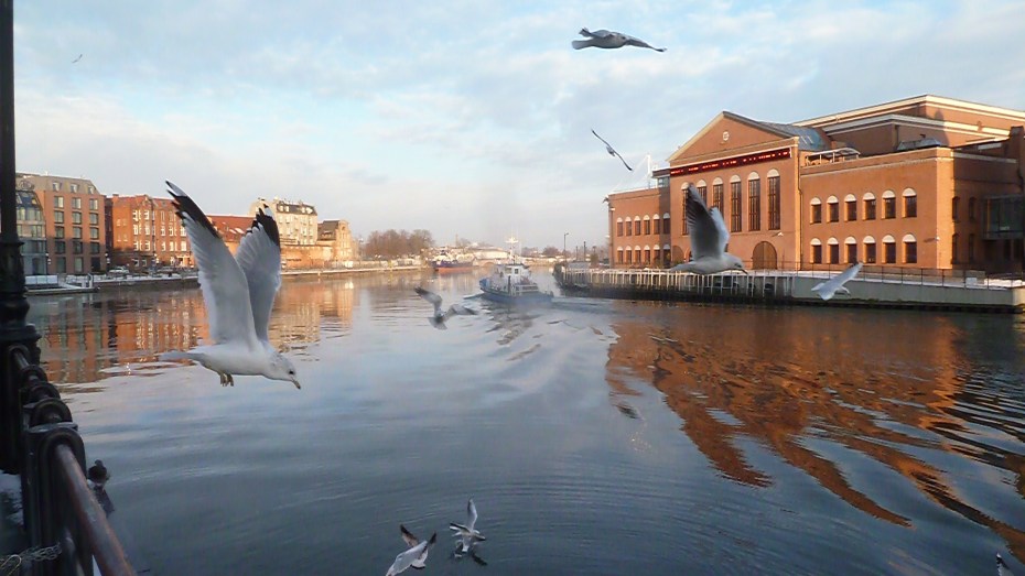 Down by the riverside in Gdansk, Poland, my new home for at least another month