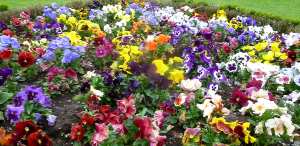 There is beauty in diversity