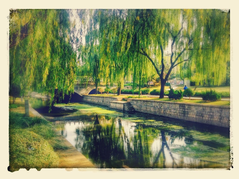 Park in the Chaoyang District of Beijing, China. (I took the photo with my iPod Touch, no filters)